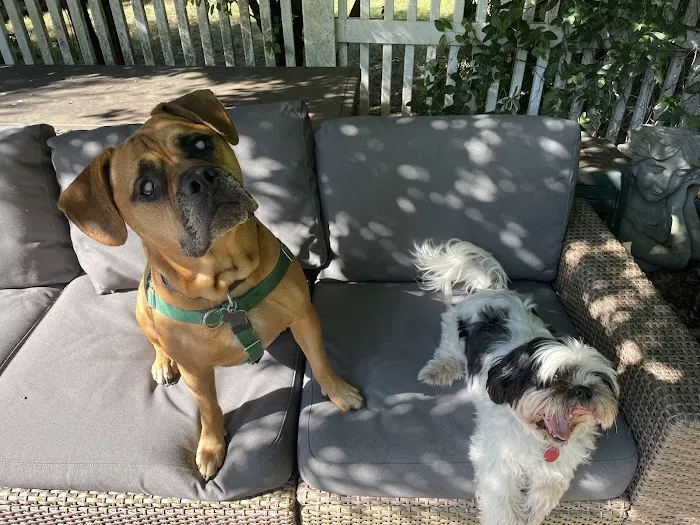 Horizon Pest Control Picture 8