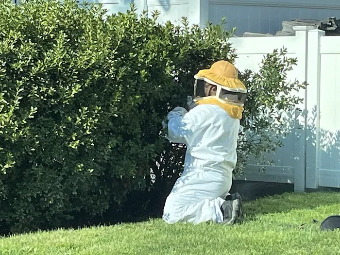 Bugging Out Termite & Pest Control Picture 4