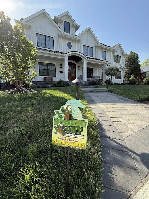 Bugging Out Termite & Pest Control Picture 6