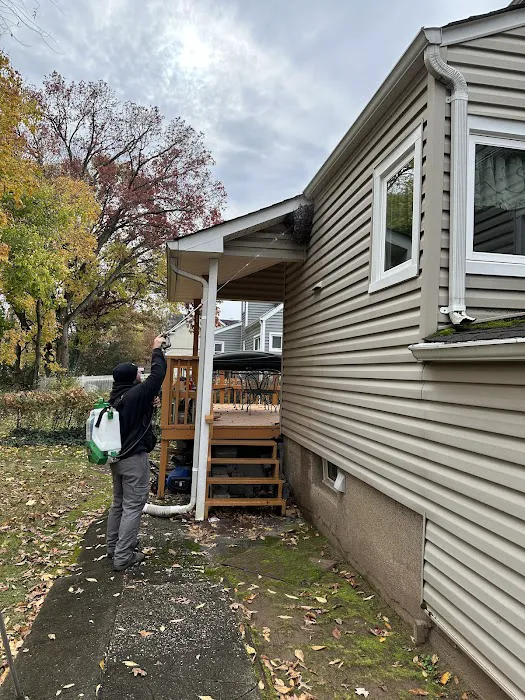 Bugging Out Termite & Pest Control Picture 10