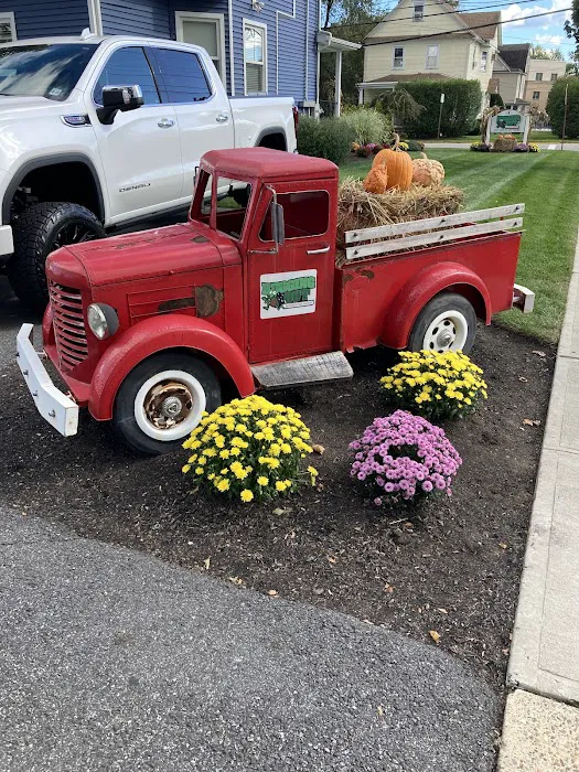 Bugging Out Termite & Pest Control Picture 7