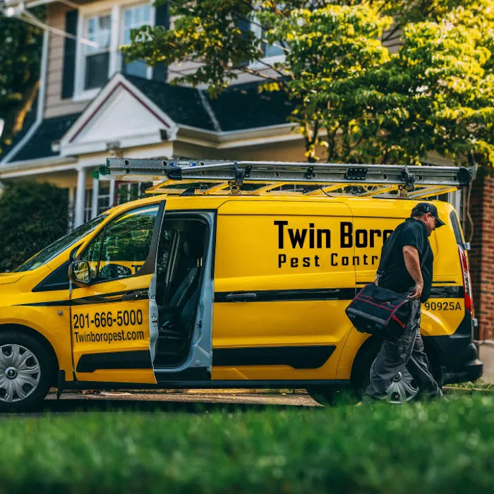 Twin Boro Pest Control Picture 4