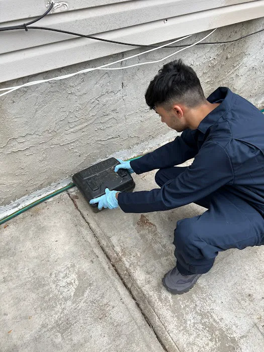 USS Pest Control Inc Picture 3