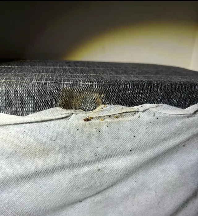 USS Pest Control Inc Picture 4