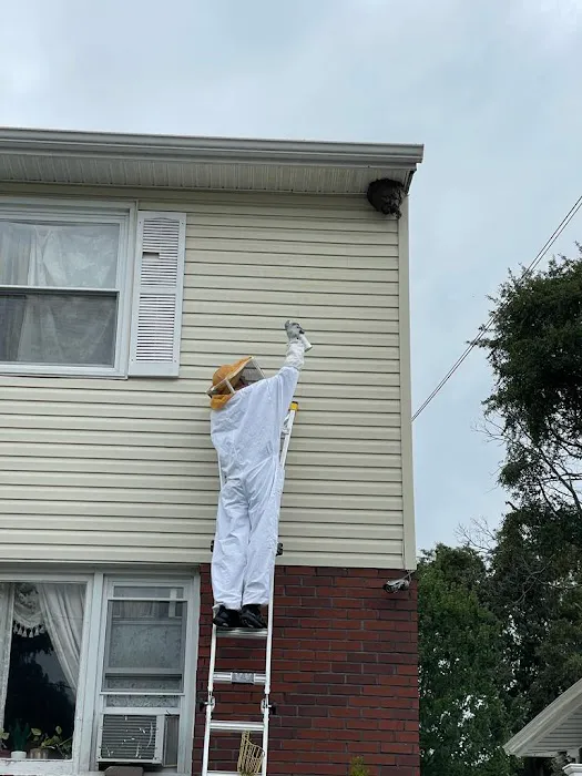 USS Pest Control Inc Picture 1