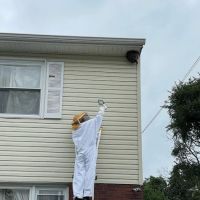 USS Pest Control Inc ico