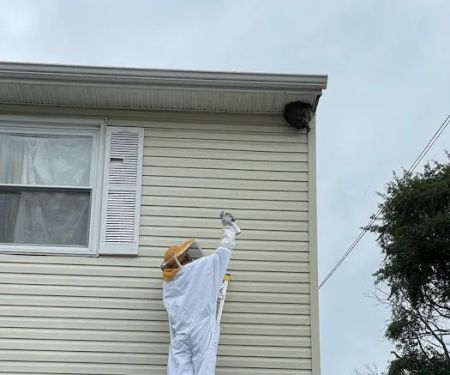USS Pest Control Inc