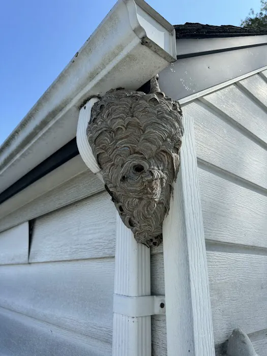 USS Pest Control Inc Picture 2