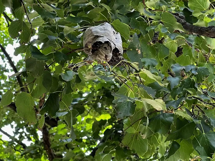 Yorkers Pest Control Inc Picture 6