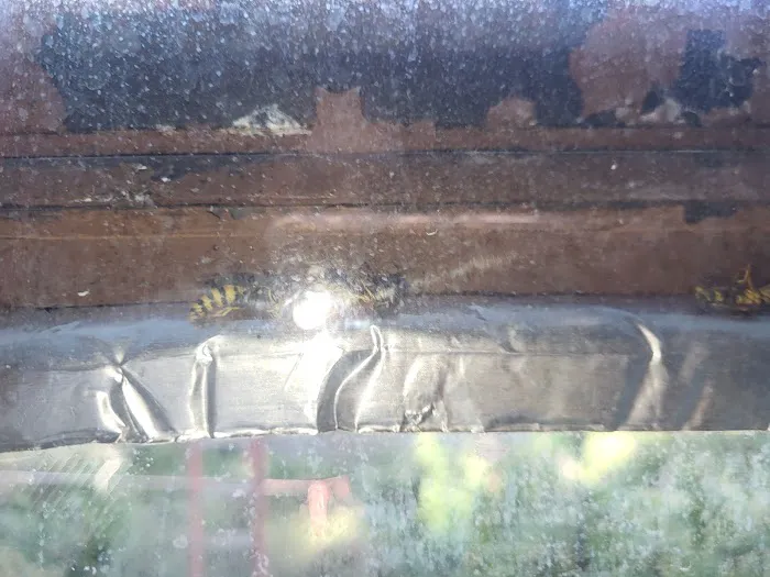 Yorkers Pest Control Inc Picture 5