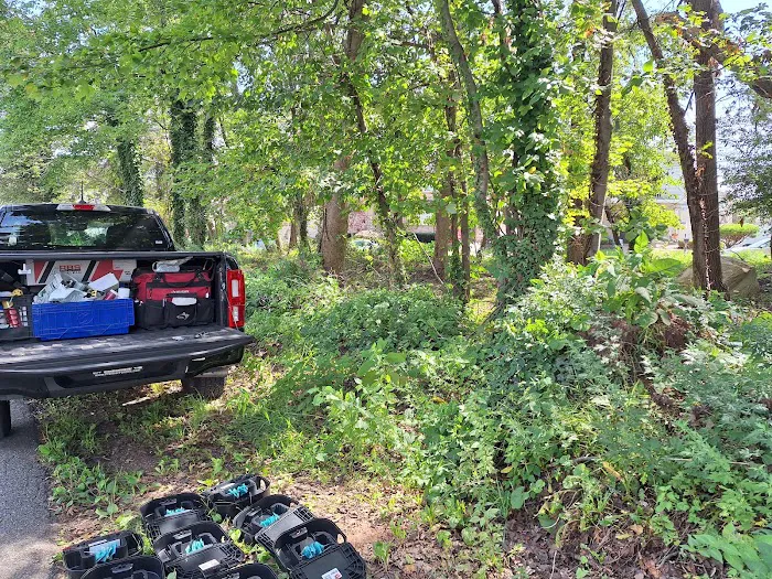 Winners pest control Picture 10