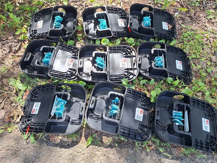 Winners pest control Picture 3