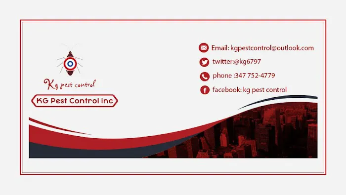 Kg pest control Picture 5