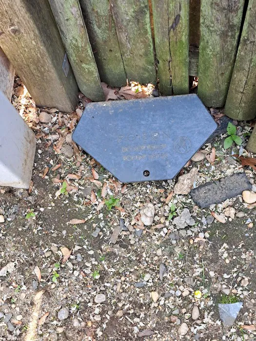 Kg pest control Picture 1