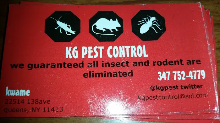 Kg pest control Picture 4
