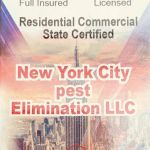 New York City Pest Elimination LLC