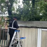 Magic Touch Exterminating and Wildlife Control