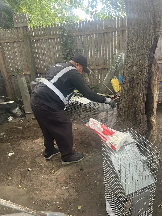 Magic Touch Exterminating and Wildlife Control Picture 9