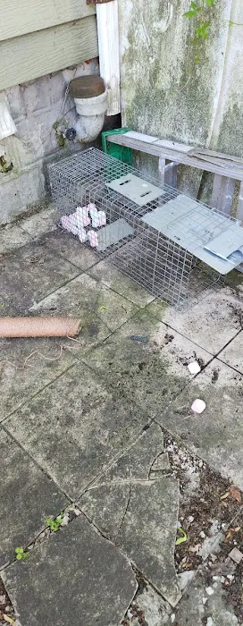 Magic Touch Exterminating and Wildlife Control Picture 5