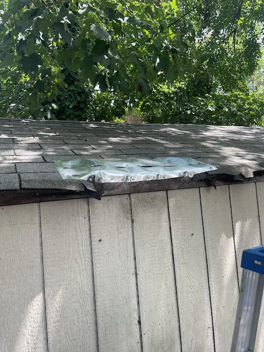 Magic Touch Exterminating and Wildlife Control Picture 7