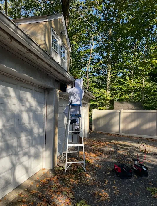 Magic Touch Exterminating and Wildlife Control Picture 10