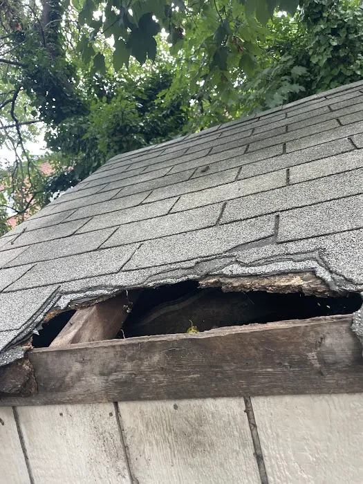 Magic Touch Exterminating and Wildlife Control Picture 8