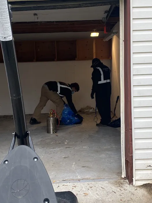 Magic Touch Exterminating and Wildlife Control Picture 6