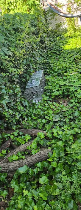 Magic Touch Exterminating and Wildlife Control Picture 4