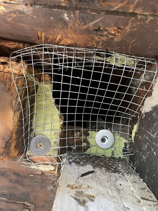 Magic Touch Exterminating and Wildlife Control Picture 2