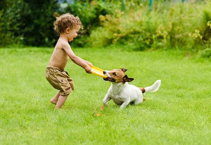 Parkway Pest Services Picture 6