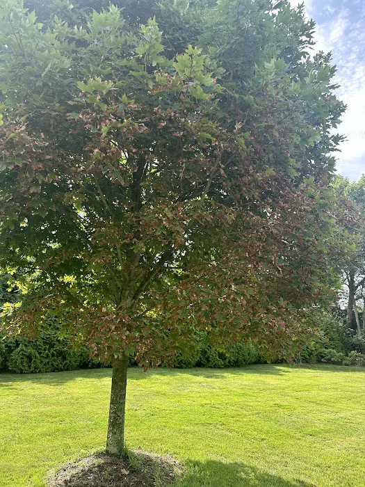 Select Exterminating Picture 5