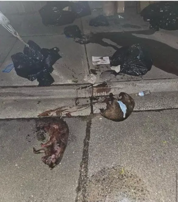 Select Exterminating Picture 8