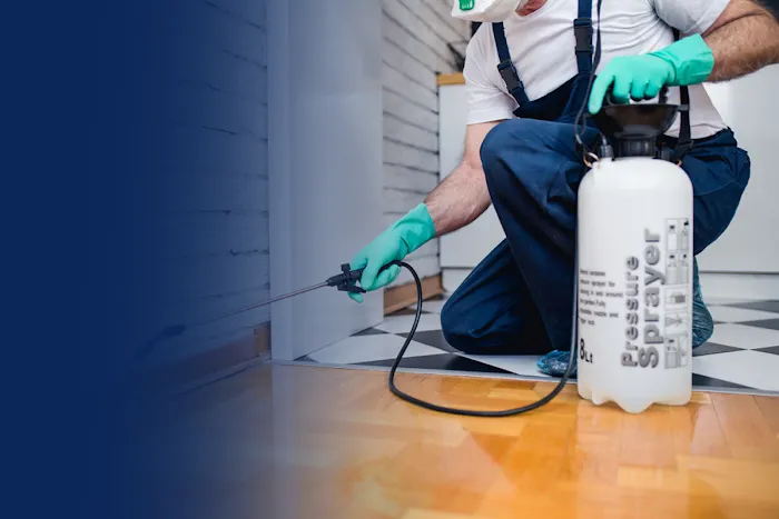 Pied Piper Pest Control Picture 2