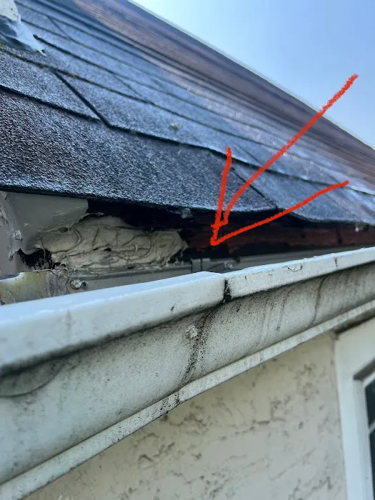 C and E Pest Management inc Picture 2