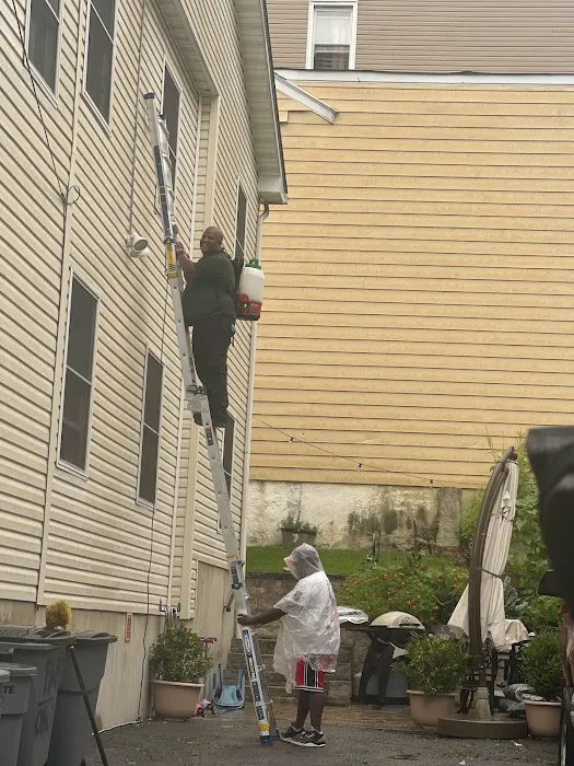 C and E Pest Management inc Picture 9