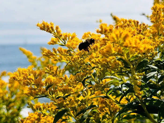 C and E Pest Management inc Picture 10