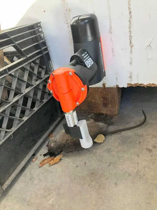 Nassau County Wildlife Pest Control Picture 9