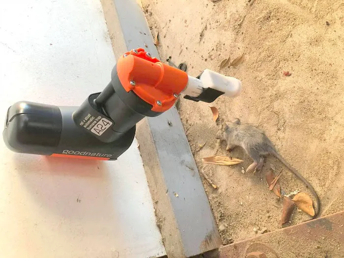 Nassau County Wildlife Pest Control Picture 10