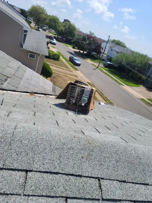 Joroba pest corp Picture 10