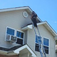 Joroba pest corp ico