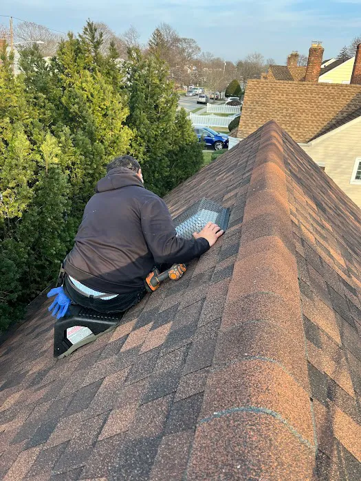 Joroba pest corp Picture 2