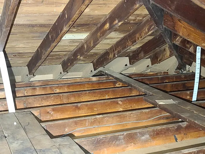 Joroba pest corp Picture 6