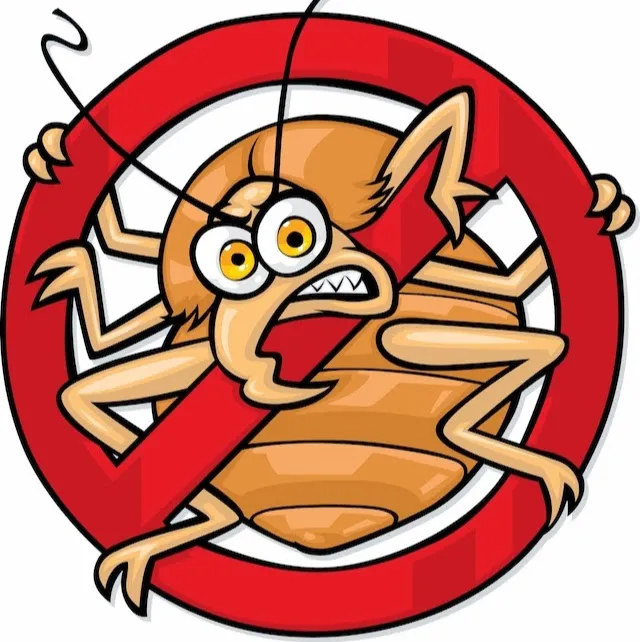 Long Island Bedbug Inspections Picture 10