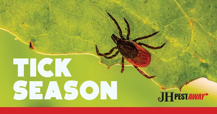 JH Pestaway Picture 1