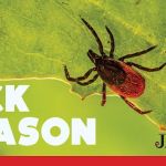 JH Pestaway