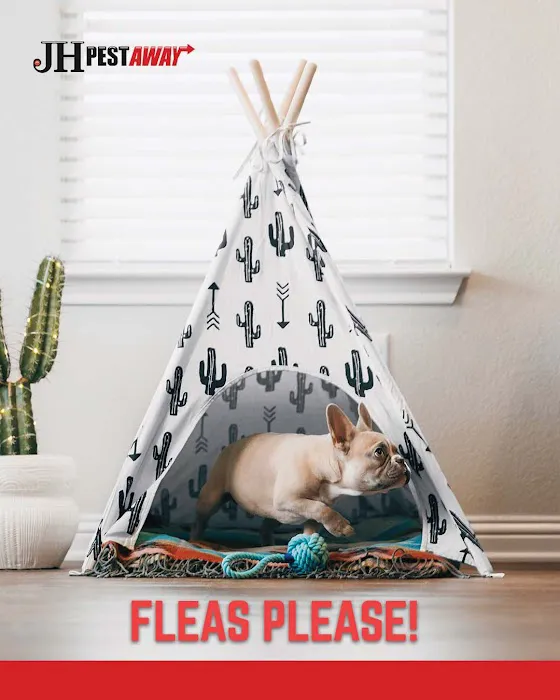 JH Pestaway Picture 2