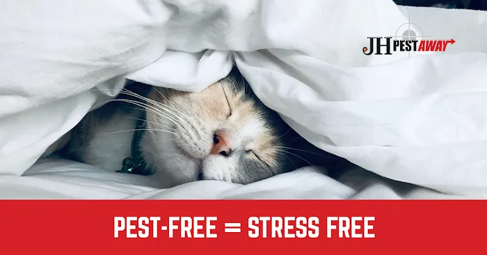 JH Pestaway Picture 9