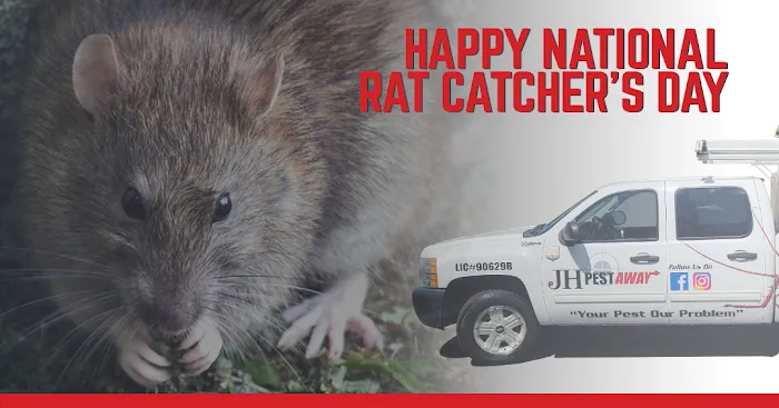 JH Pestaway Picture 6