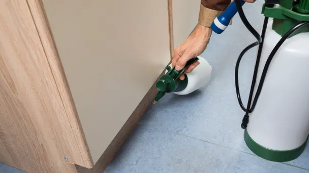 Mantis Pest Control Inc Picture 7