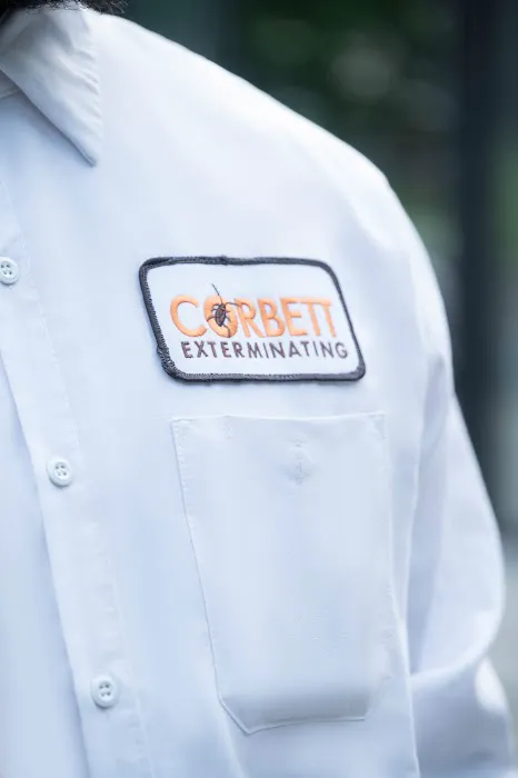 Corbett Exterminating Picture 7